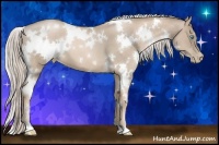 Horse Color:White Spotted Chocolate Palomino Pearl 