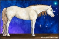 Horse Color:Buckskin Pearl Dun Sabino