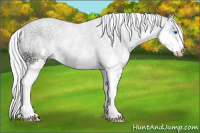 Horse Color:Gray Smoky Black Ice Pearl Splash Rabicano 