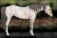 Horse Color:Bay Ice Appaloosa