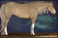 Horse Color:Chocolate Palomino 