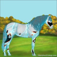 Horse Color:Thunderstruck Black Chinchilla Pearl Sabino Splash 