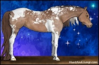Horse Color:Liver Chestnut Tobiano