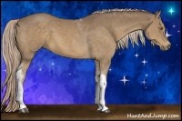 Horse Color:Chocolate Palomino Tobiano 