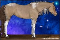 Horse Color:Liver Red Dun Tobiano 