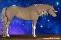 Horse Color:Chocolate Palomino Tobiano