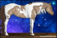 Horse Color:White Spotted Liver Red Dun Tobiano