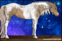 Horse Color:Chocolate Palomino Tobiano