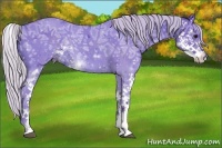 Horse Color:Watercolor Silver Black Ice Sabino 