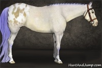 Horse Color:Watercolor Bay Appaloosa 