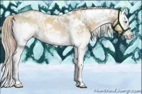 Horse Color:White Spotted Liver Red Dun Pearl 