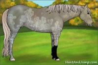 Horse Color:Silver Black Ice 