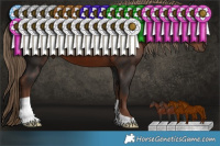 Horse Color:Liver Chestnut 