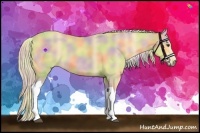 Horse Color:Nacre Palomino Tobiano 