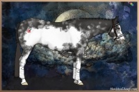 Horse Color:White Spotted Liver Chestnut Frame