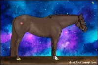 Horse Color:Liver Chestnut Rabicano 