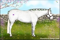Horse Color:White Spotted Palomino Ice Rabicano 