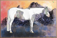 Horse Color:Gray Nacre Gold Cream Champagne Ice Roan Dun Splash Tobiano Frame 
