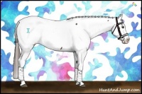Horse Color:Liver Chestnut Near Fewspot 