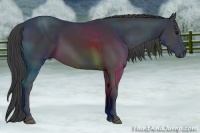 Horse Color:Smoky Black Sabino