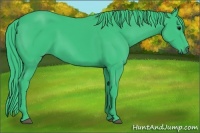 Horse Color:Watercolor Black 