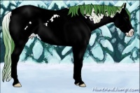 Horse Color:Watercolor Bay Roan Splash Appaloosa Rabicano