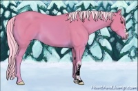 Horse Color:Watercolor Palomino