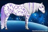 Horse Color:Watercolor Black Appaloosa 