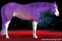 Horse Color:Watercolor Brown Sabino Splash Rabicano