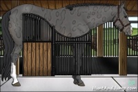 Horse Color:Buckskin Ice 