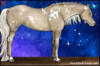 Horse Color:White Spotted Liver Chestnut Pearl