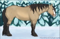 Horse Color:Bay Dun Splash 