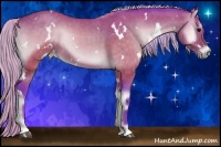 Horse Color:Watercolor White Spotted Silver Brown Onyx Sabino 