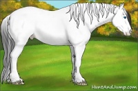 Horse Color:White Spotted Bay Ice Splash Tobiano 