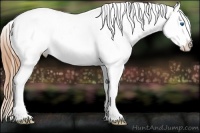 Horse Color:Bay Ice Pearl Sabino Splash Tobiano Varnish