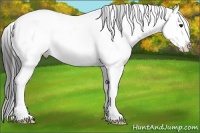 Horse Color:Black Ice Sabino Splash Snowcap
