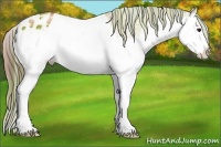 Horse Color:Plaid  Bay Ice Splash Appaloosa 