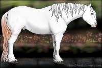 Horse Color:Bay Ice Dun Sabino Splash Varnish