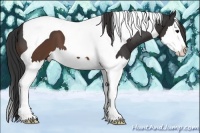 Horse Color:Brown Splash Tobiano