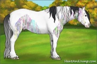Horse Color:Grullo Ice Sabino Splash Tobiano