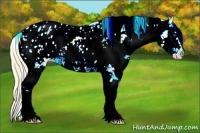 Horse Color:White Spotted Chestnut Splash Blanket Rabicano