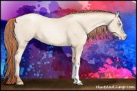 Horse Color:Classic Cream Champagne Pearl