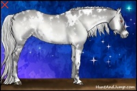 Horse Color:White Spotted Silver Smoky Grullo Chinchilla Onyx 