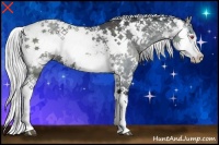 Horse Color:Silver Black Chinchilla Sabino 