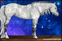 Horse Color:White Spotted Silver Grullo Chinchilla 