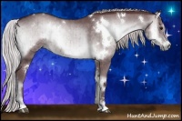 Horse Color:White Spotted Chocolate Silver Blue Onyx Chinchilla Sabino Brindle 