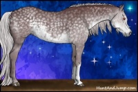 Horse Color:Chocolate Silver Smoky Black Chinchilla 