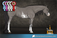 Horse Color:Smoky Grullo Sabino 