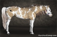 Horse Color:White Spotted Liver Red Dun Splash Rabicano 
