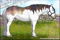 Horse Color:Nacre Brown Onyx Splash 